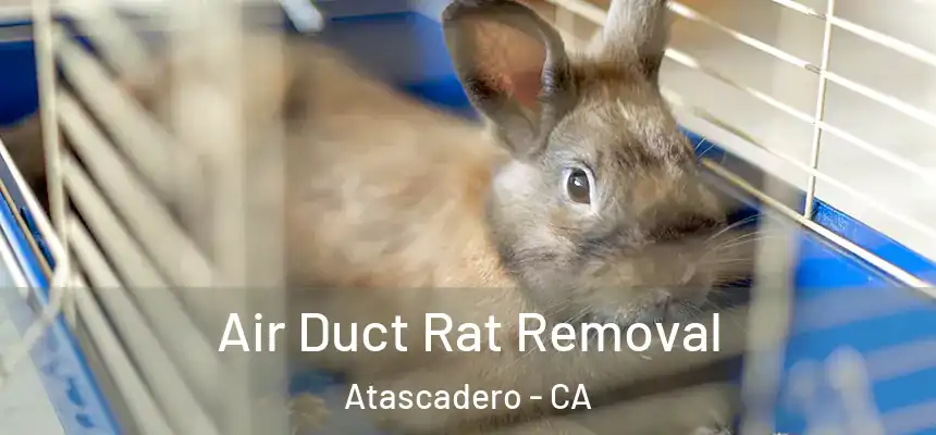  Air Duct Rat Removal Atascadero - CA