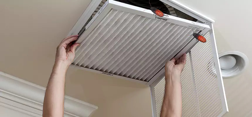 Preventive Cockroach-Proofing for Ducts in Atascadero
