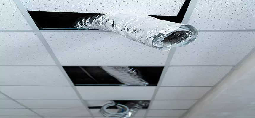 Our Air Duct Pet Hair Removal Services in Atascadero, CA