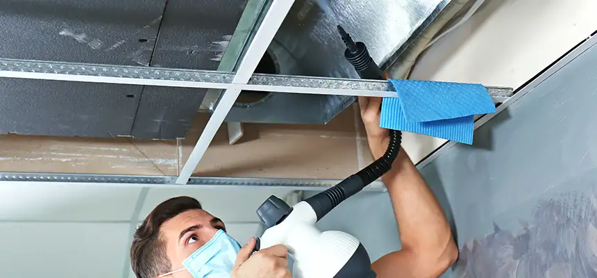 Our Air Duct Rodent Removal Services in Atascadero, CA