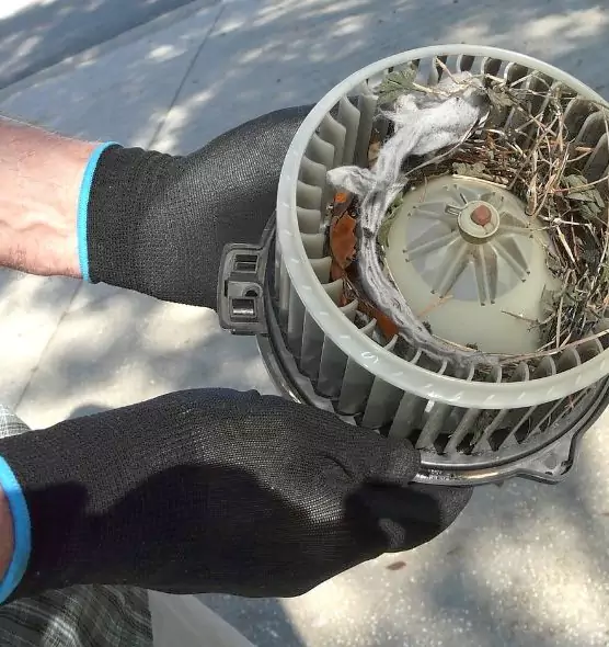 About Air Duct Rat Removal in Atascadero, CA