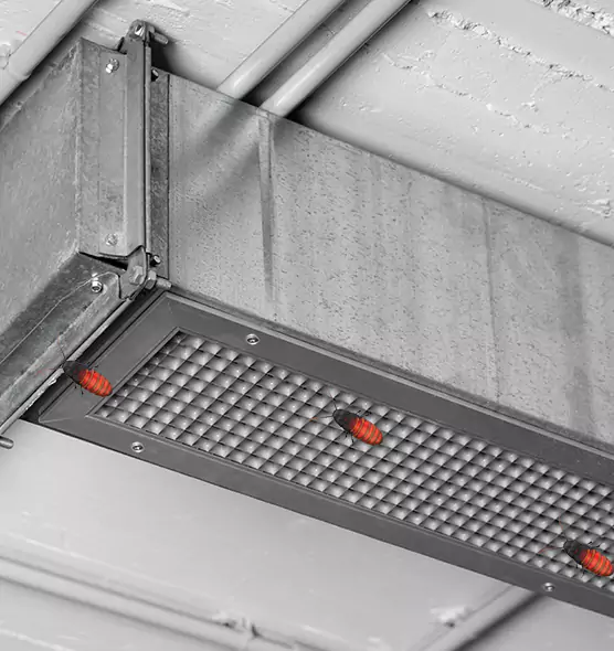 Affordable Insect Removal from Air Ducts in Atascadero, CA